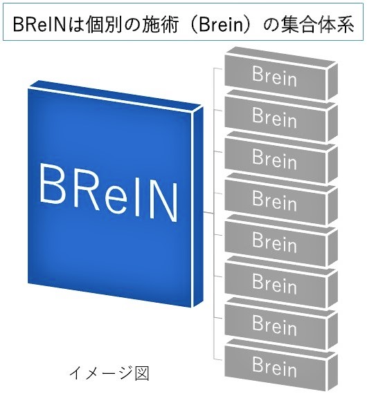 脳弾塑性誘導非侵襲選択的統合法BReIN