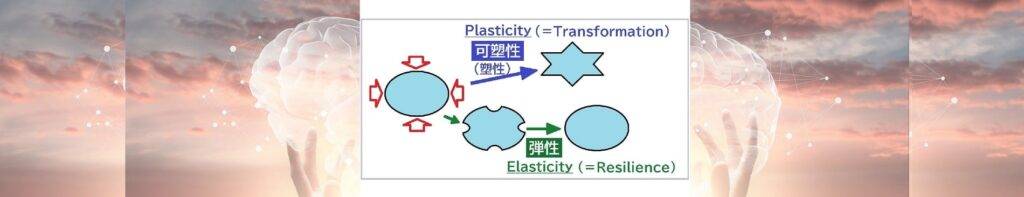 What is brain elastoplasticity? The Japan Society for Brain Elastoplasticity