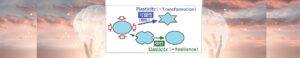 脳弾塑性とは何か　日本脳弾塑性学会